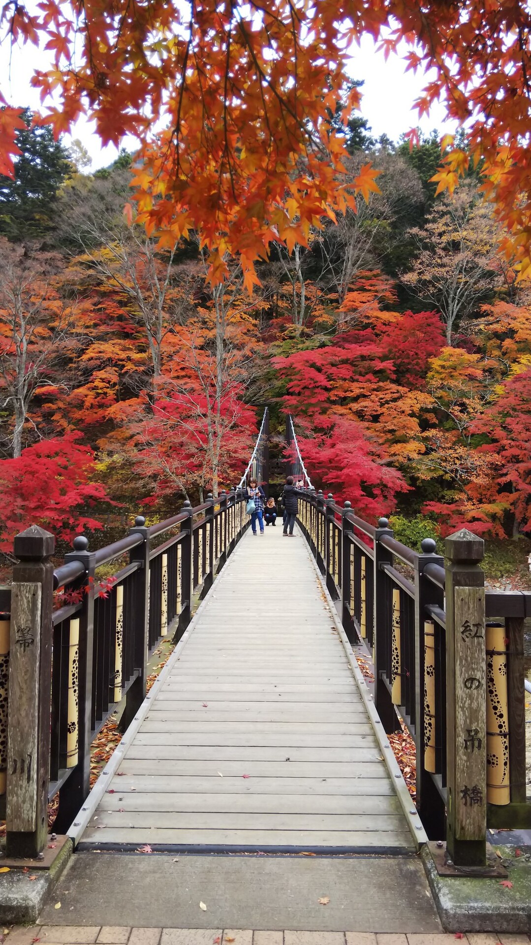 高原山 宮川渓谷 塩原渓谷 紅葉の旅 高原山 釈迦ヶ岳 鶏頂山の写真59枚目 紅の吊橋 その４ Yamap ヤマップ