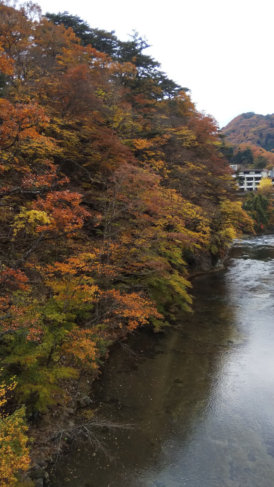 高原山 宮川渓谷 塩原渓谷 紅葉の旅 高原山 釈迦ヶ岳 鶏頂山の写真81枚目 七つ岩吊り橋 その６ Yamap ヤマップ