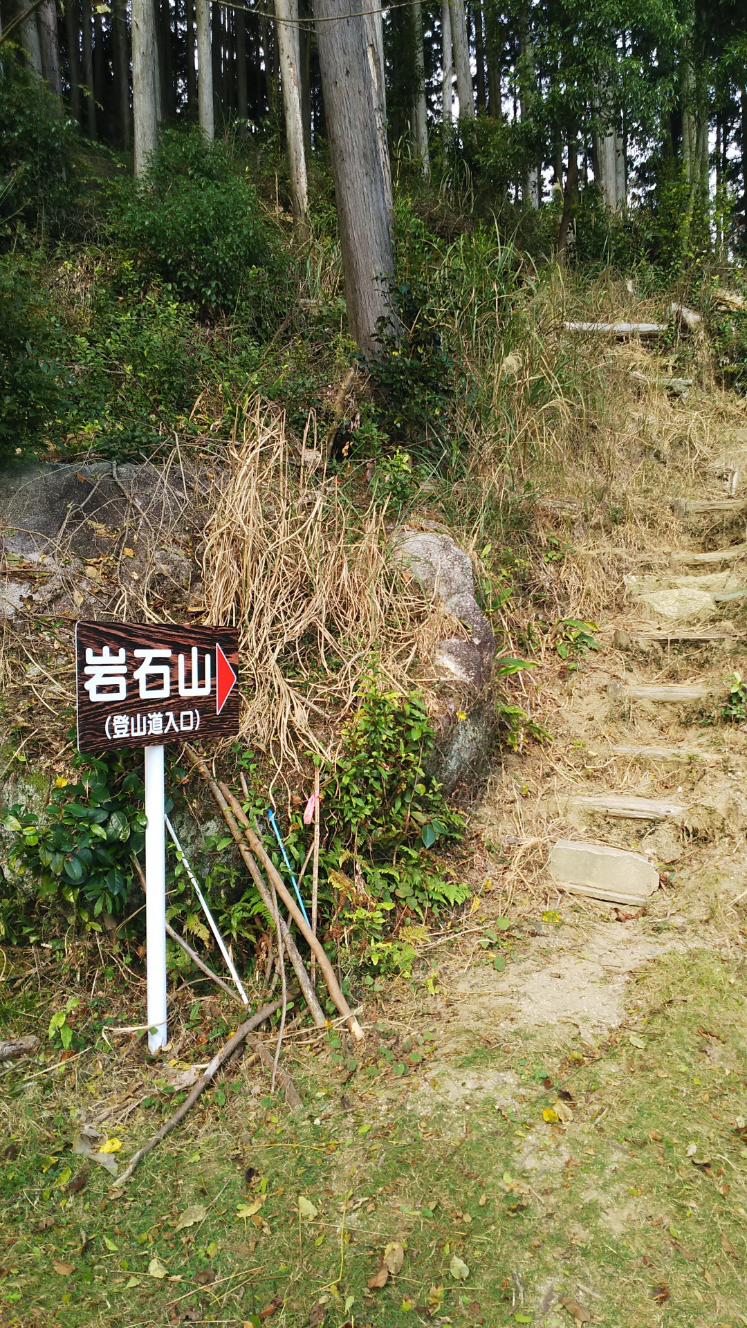 赤村登山口から奇岩 巨岩の岩石山へ / masa885さんの岩石山（岩石城）の活動データ YAMAP / ヤマップ