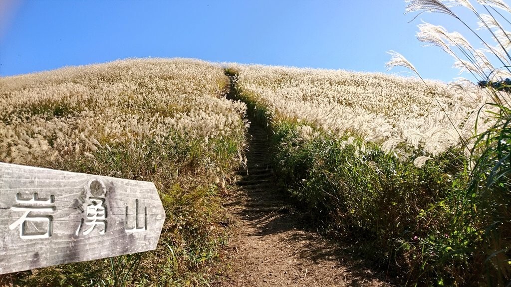 岩湧山 ススキが見頃 19 11 13 いのっぴさんの岩湧山 一徳防山 三石山の活動データ Yamap ヤマップ