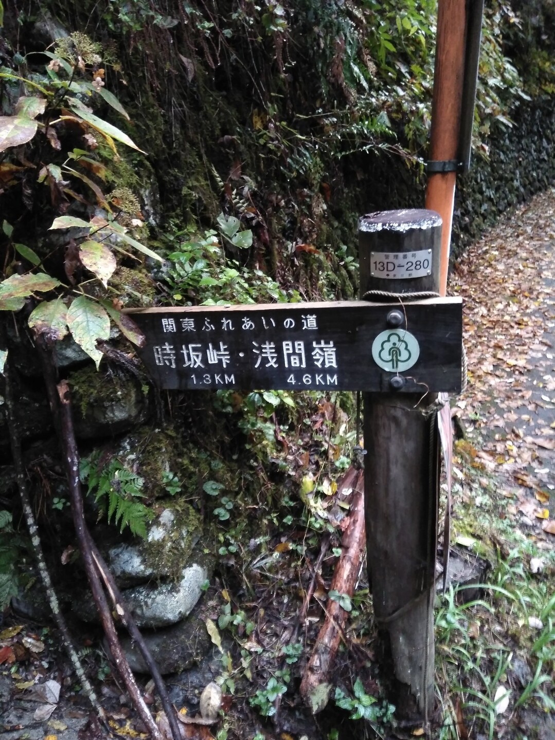 蕎麦 檜原 屋 みちこ 村