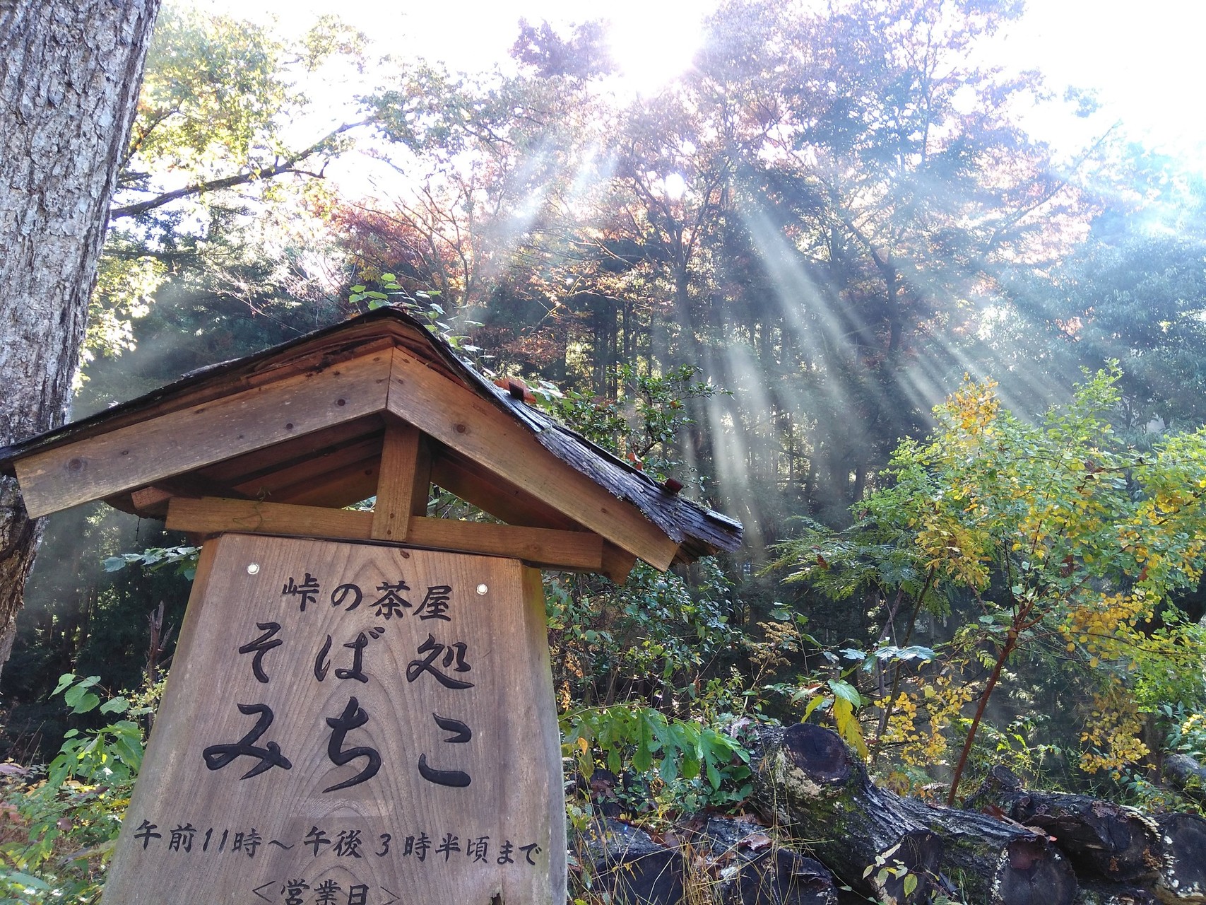 蕎麦 檜原 屋 みちこ 村