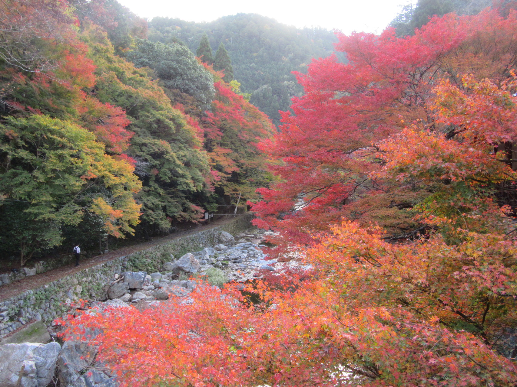素晴らしい紅葉に囲まれた登山路 愛宕山 月輪寺 ふるふるさんの愛宕山 三頭山 朝日峯の活動日記 Yamap ヤマップ
