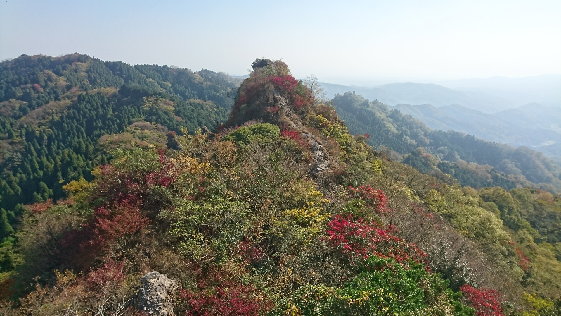 早めの紅葉探し 鋸山 しのっちさんの田原山 鋸山 の活動データ Yamap ヤマップ
