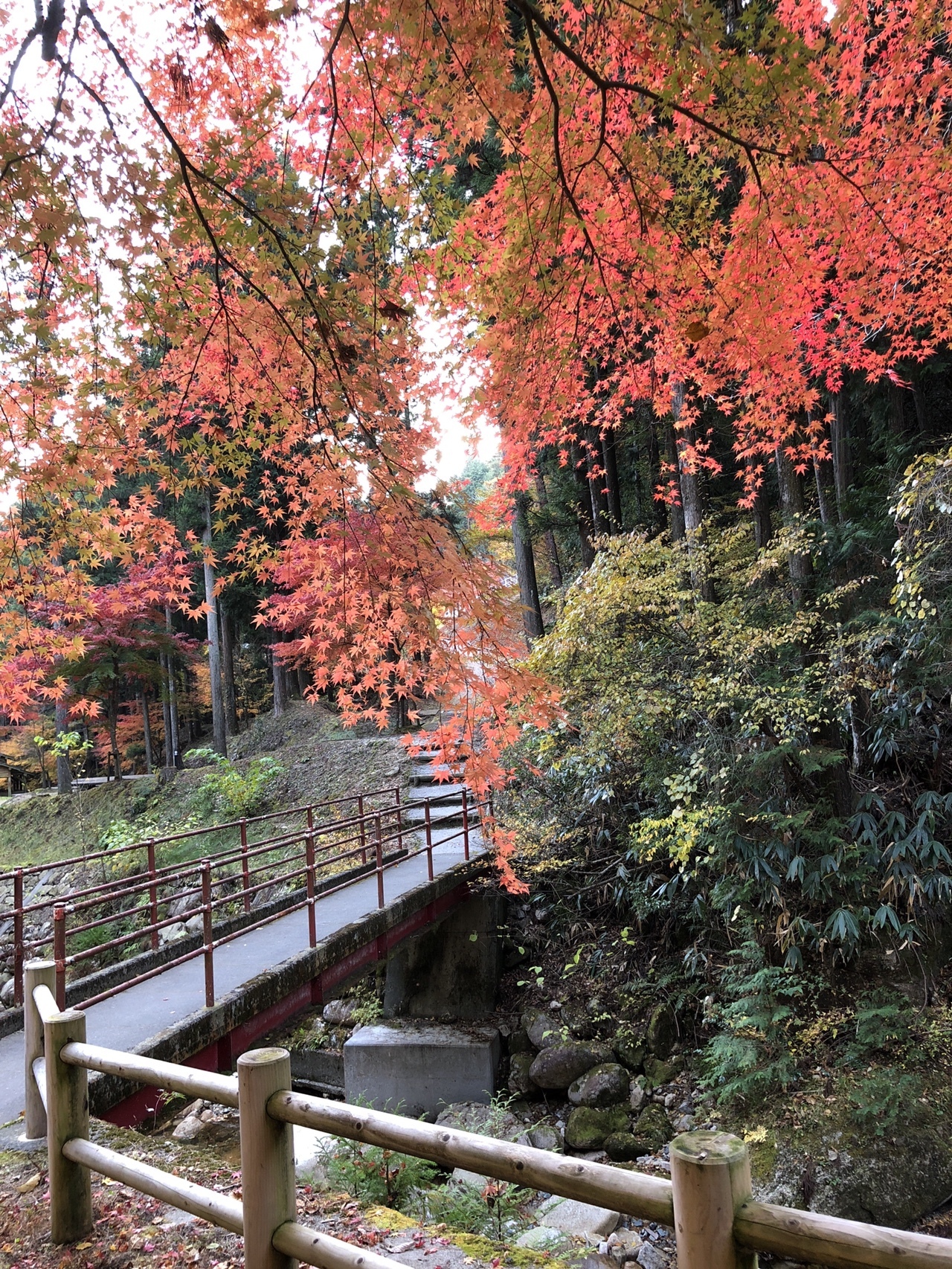 寂地山 寂地峡 みのこし峠 寂地山 寂地林道 犬戻コース 寂地峡案内所 ミキエさんの吉和冠山 安芸冠山 広高山 寂地山の活動データ Yamap ヤマップ