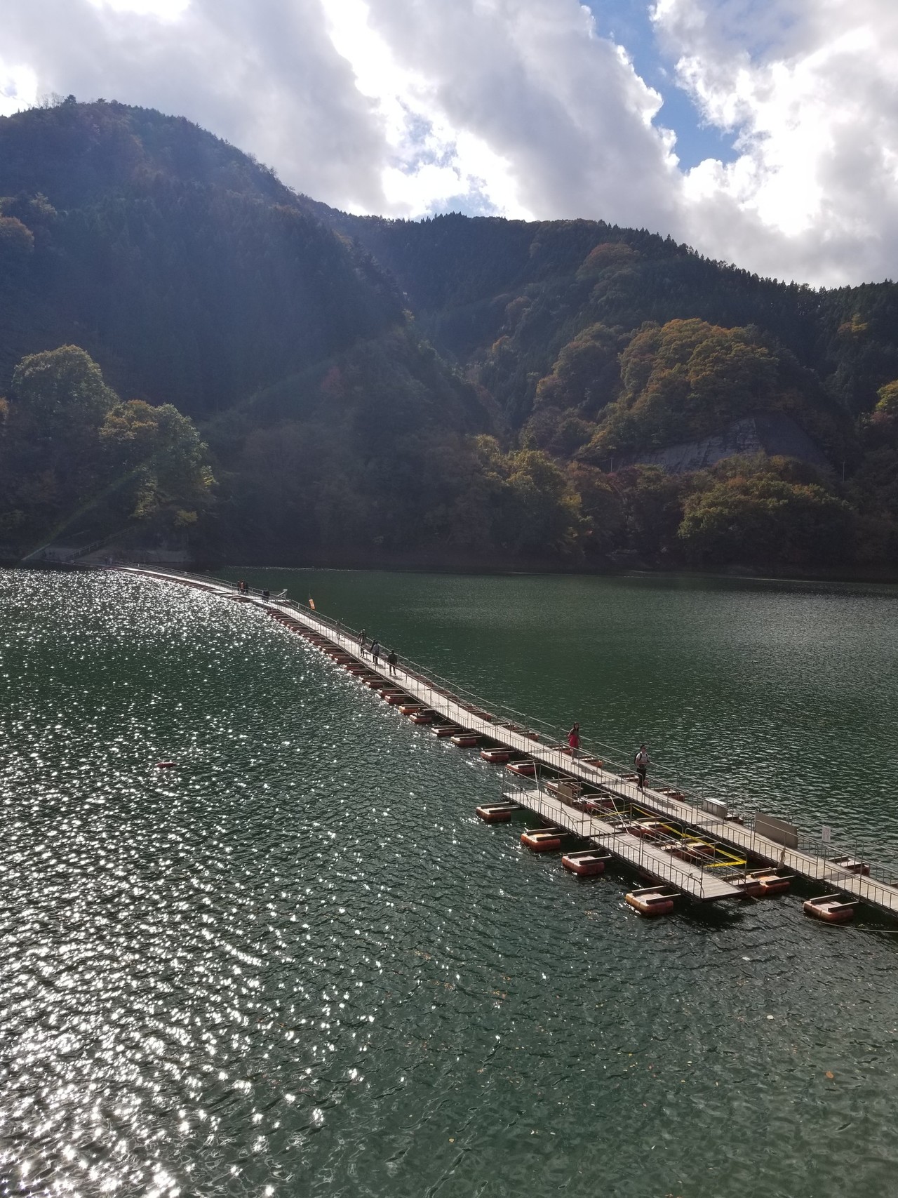 やっと渡れた 奥多摩湖 麦山浮橋 うぶさんの雲取山 鷹ノ巣山 七ツ石山の活動日記 Yamap ヤマップ
