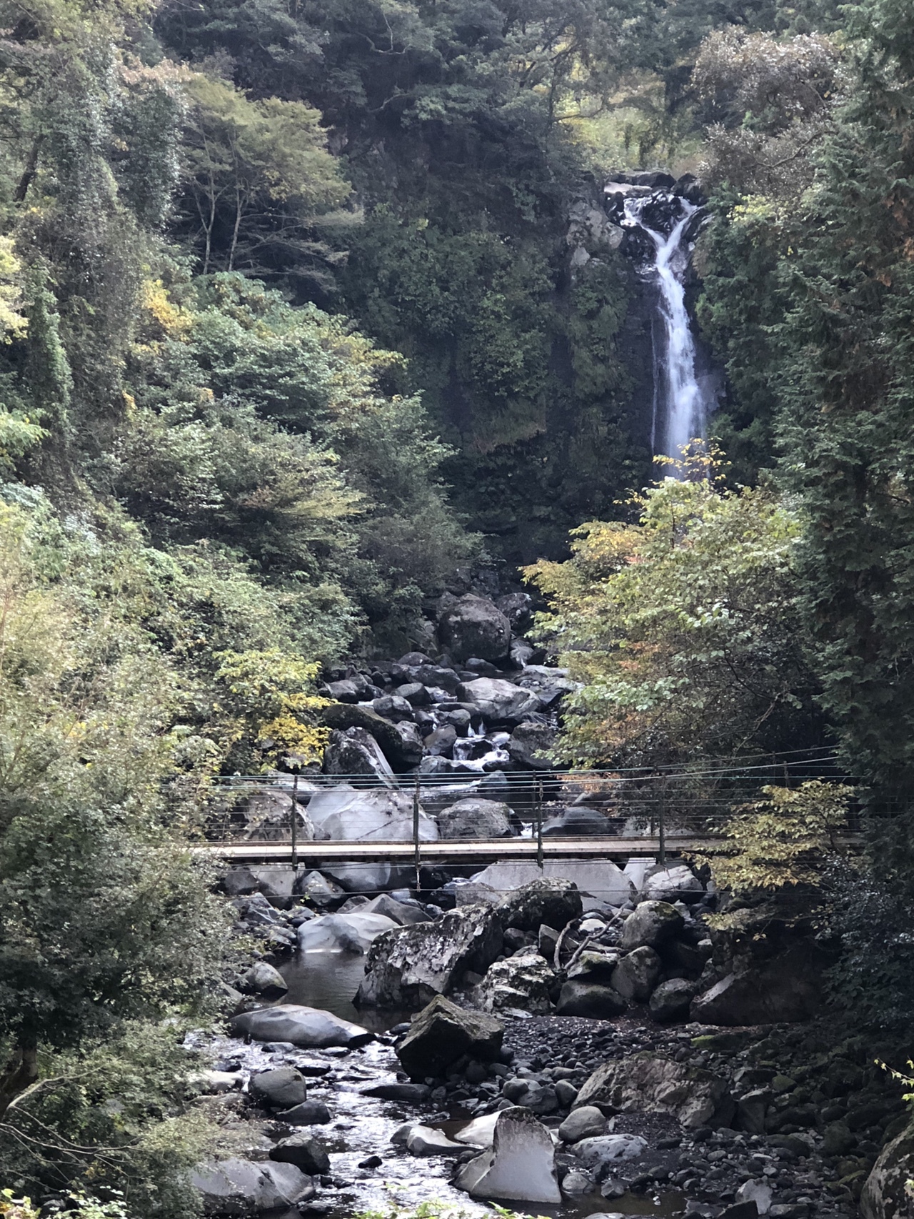 須津渓谷駐車場 大棚の滝ハイキング たろうさんの愛鷹山 大岳 黒岳の活動データ Yamap ヤマップ