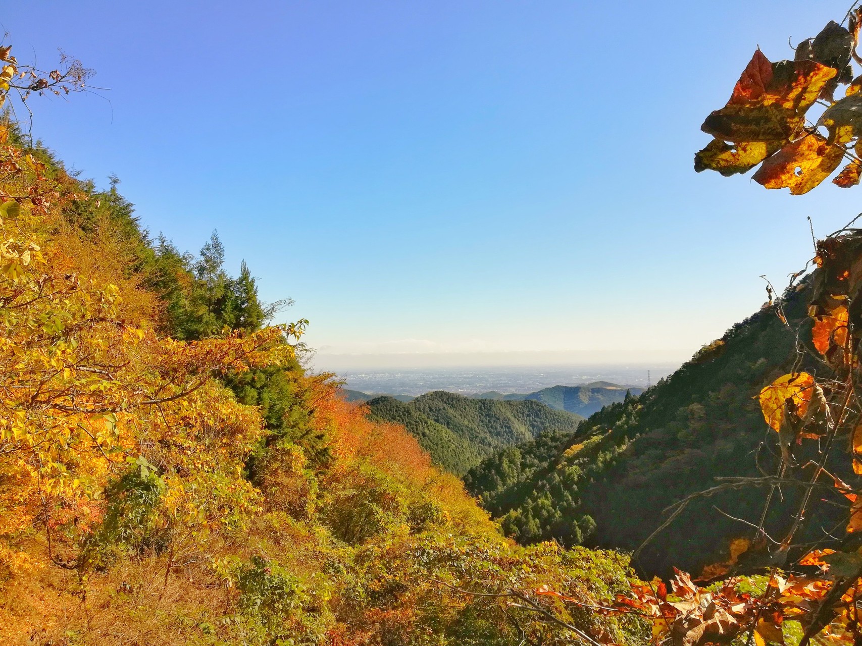 奥武蔵 黒山三滝 関八洲 のんびりハイキング Leica らいか さんの日和田山 物見山の活動データ Yamap ヤマップ