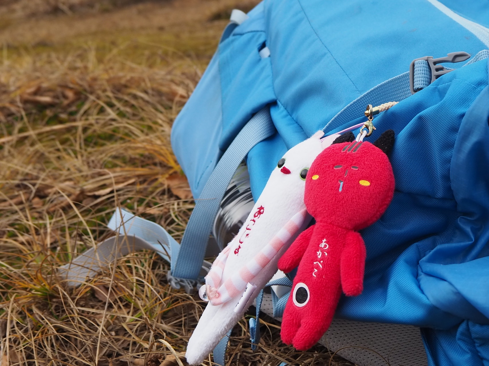 第2回へなちょこ登山部 ﾉw ﾉ 大蔵山 菅名岳 ユウさんの菅名岳 大蔵山 鳴沢峰の活動データ Yamap ヤマップ