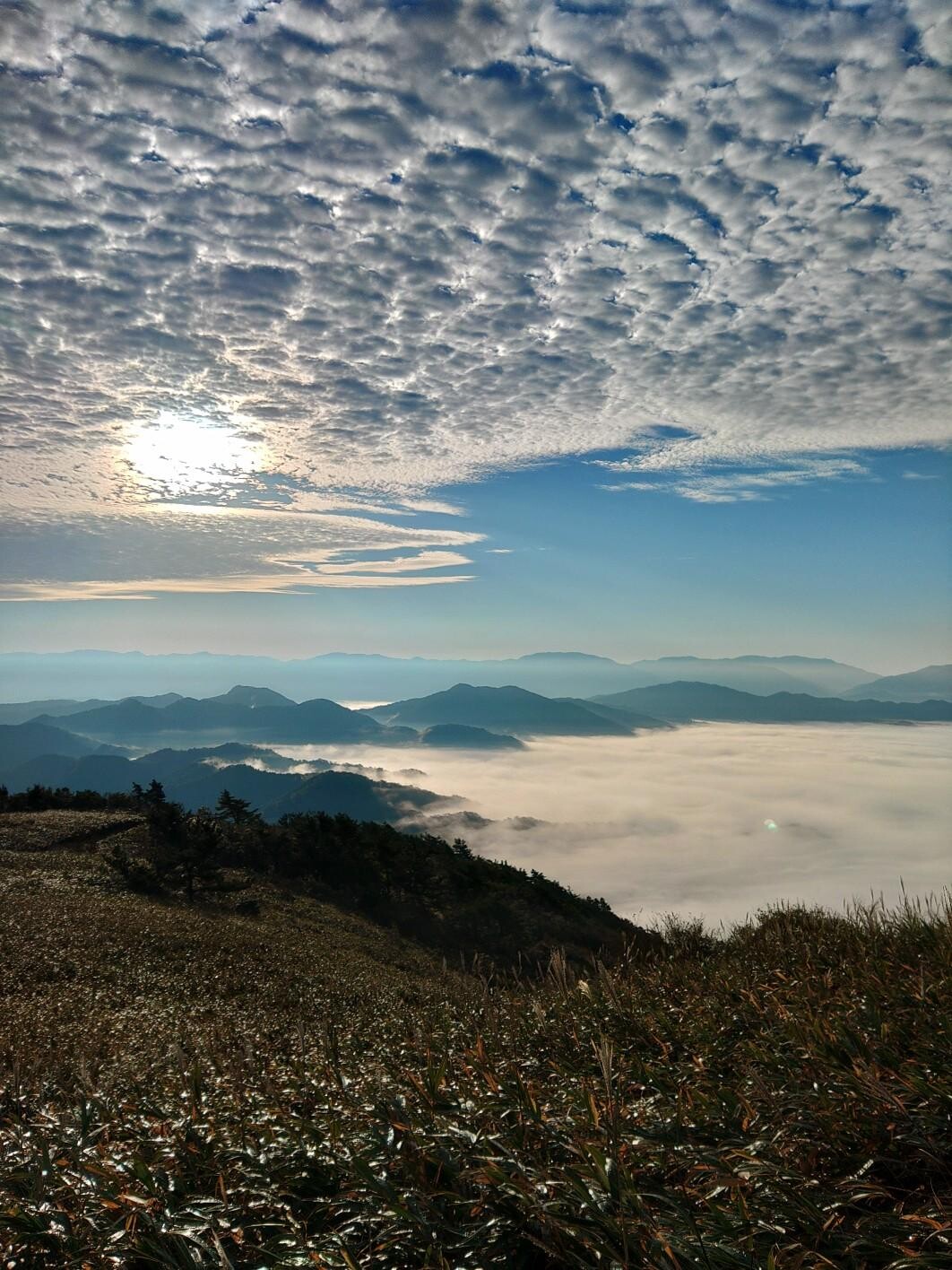 下蒜山・中蒜山・上蒜山・槍ヶ峰 / shinさんの蒜山の活動データ YAMAP / ヤマップ
