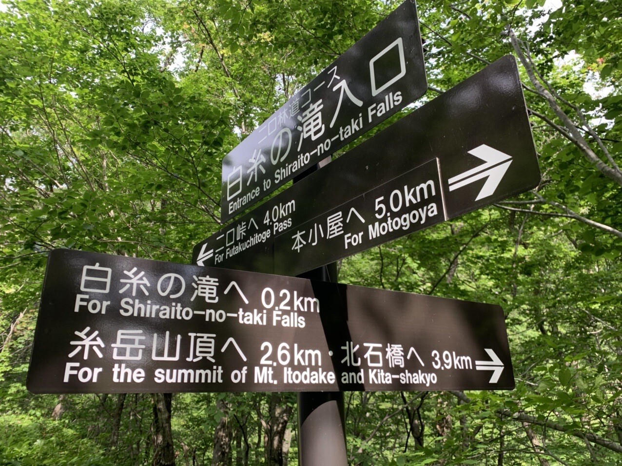 仙台秋保温泉の奥の二口渓谷から渓流釣行 あっちゃんさんのモーメント Yamap ヤマップ