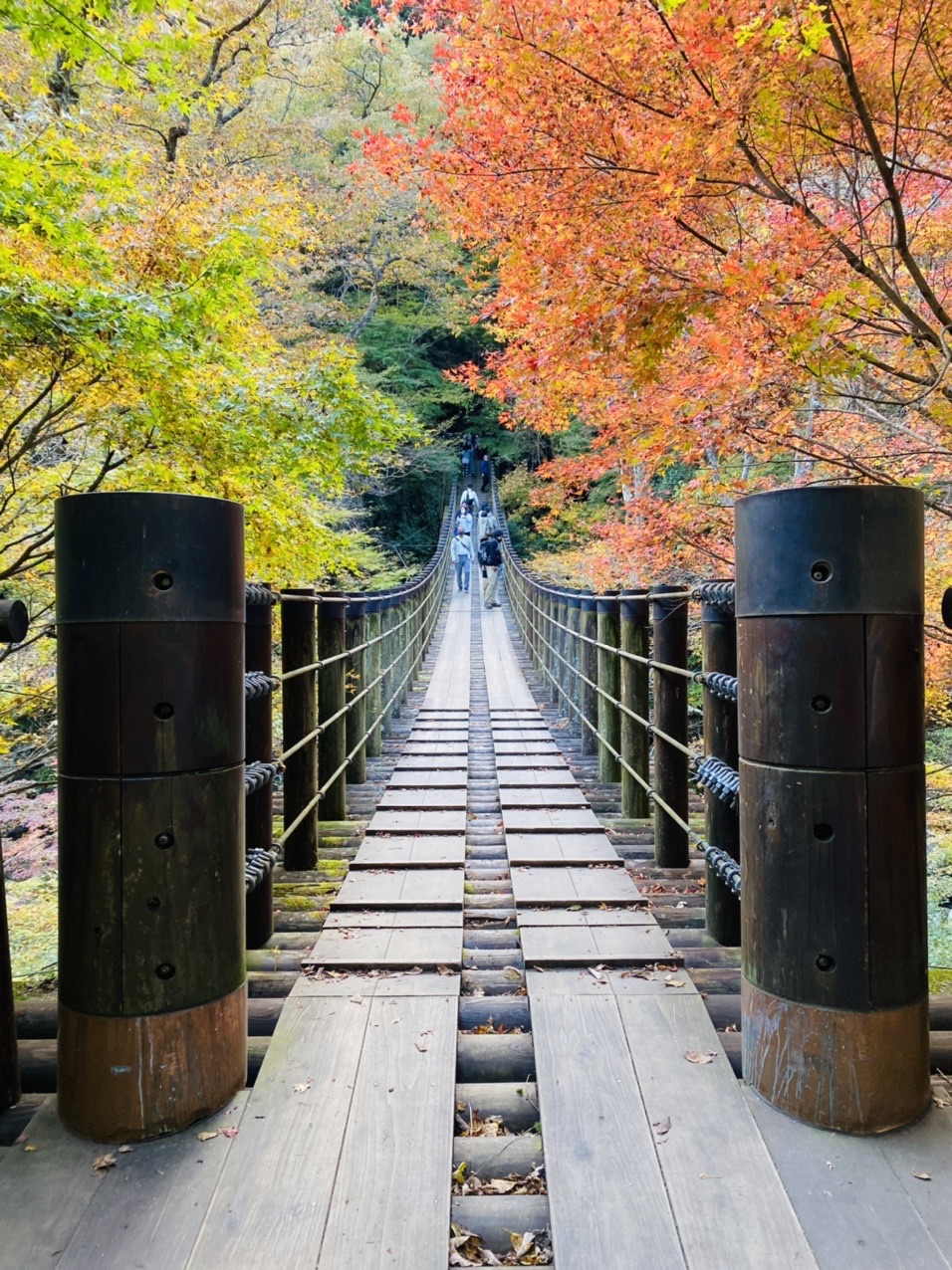 土岳 花貫渓谷 Kurous Giさんの土岳 花貫渓谷 竪破山の活動日記 Yamap ヤマップ