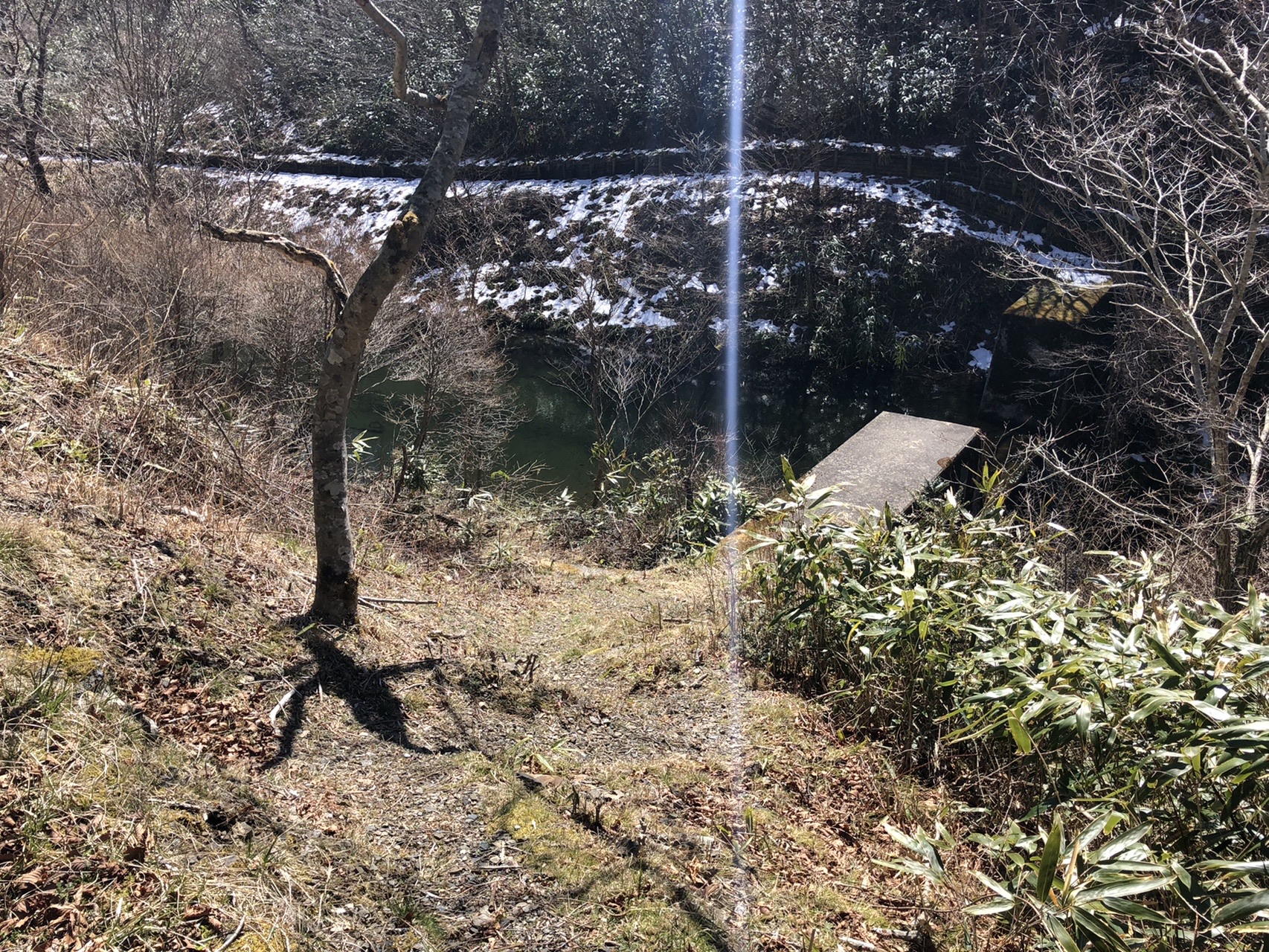 黒滝山 天狗ノ森 天狗高原 セラピーロードは全然セラピーじゃないと思うのはワシだけかい バンビさんの天狗ノ森 天狗高原 黒滝山の活動データ Yamap ヤマップ