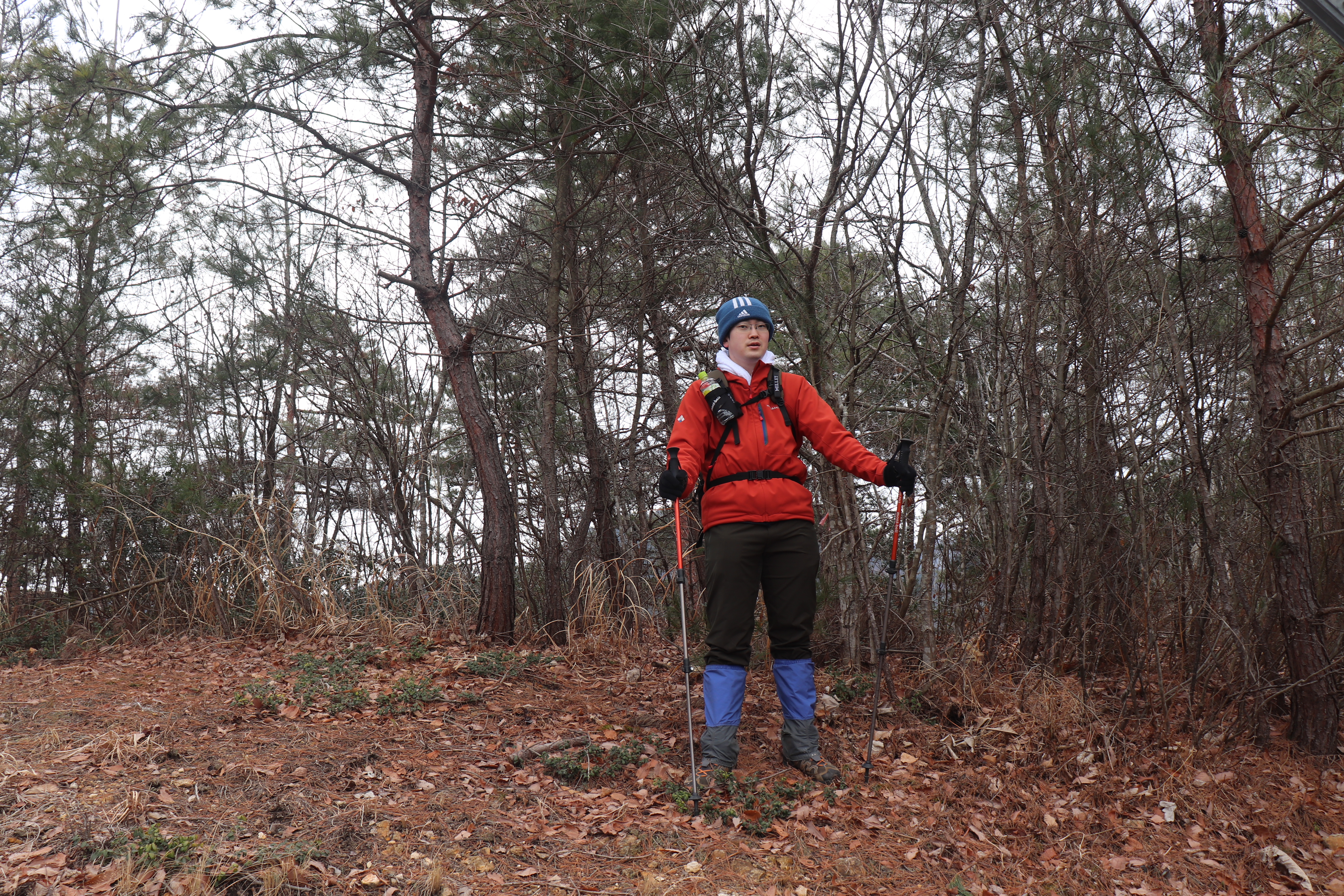 Yabupperさんにはいい季節 鐘撞森 太平山ピストン の巻 パクチーさんの山形市の活動データ Yamap ヤマップ