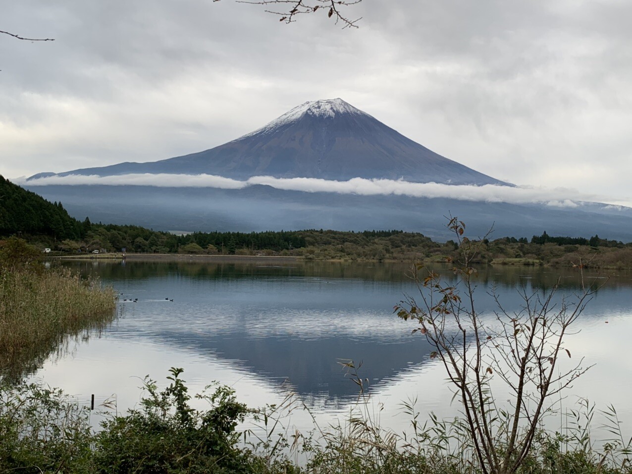 まいちのページ Yamap ヤマップ