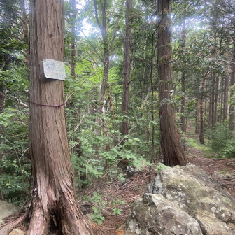 坊主山通過。