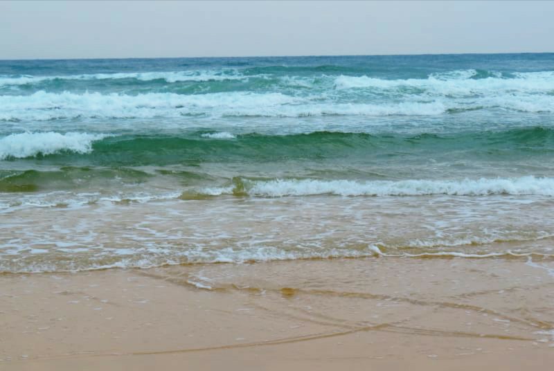 ある雨の日の情景 コックンさんの古賀市の活動データ Yamap ヤマップ