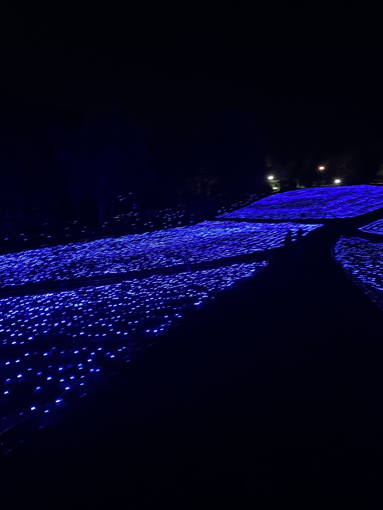 ウォーキング 10 30 星明かり ナガさんのウォーキングの活動データ Yamap ヤマップ