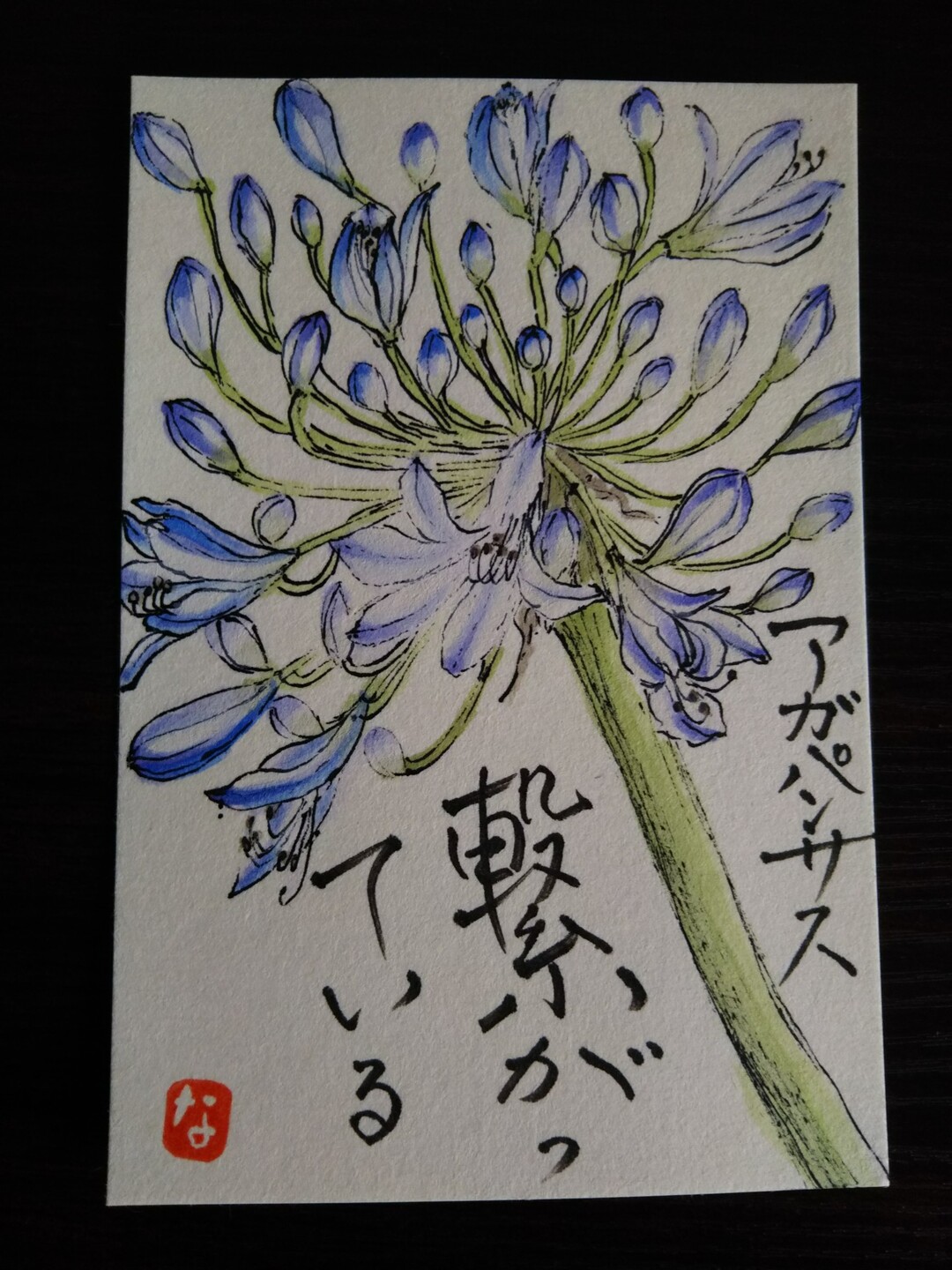 馬頭観音まで 19 06 28 自由人さんの矢倉岳の活動日記 Yamap ヤマップ