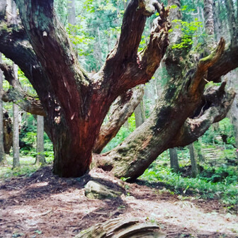 なっちゃん⛰️