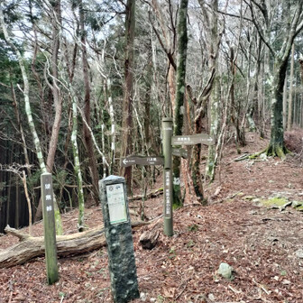 熊野古道 小辺路 果無峠到着〜！
ついでに果無山にも行きましょう！