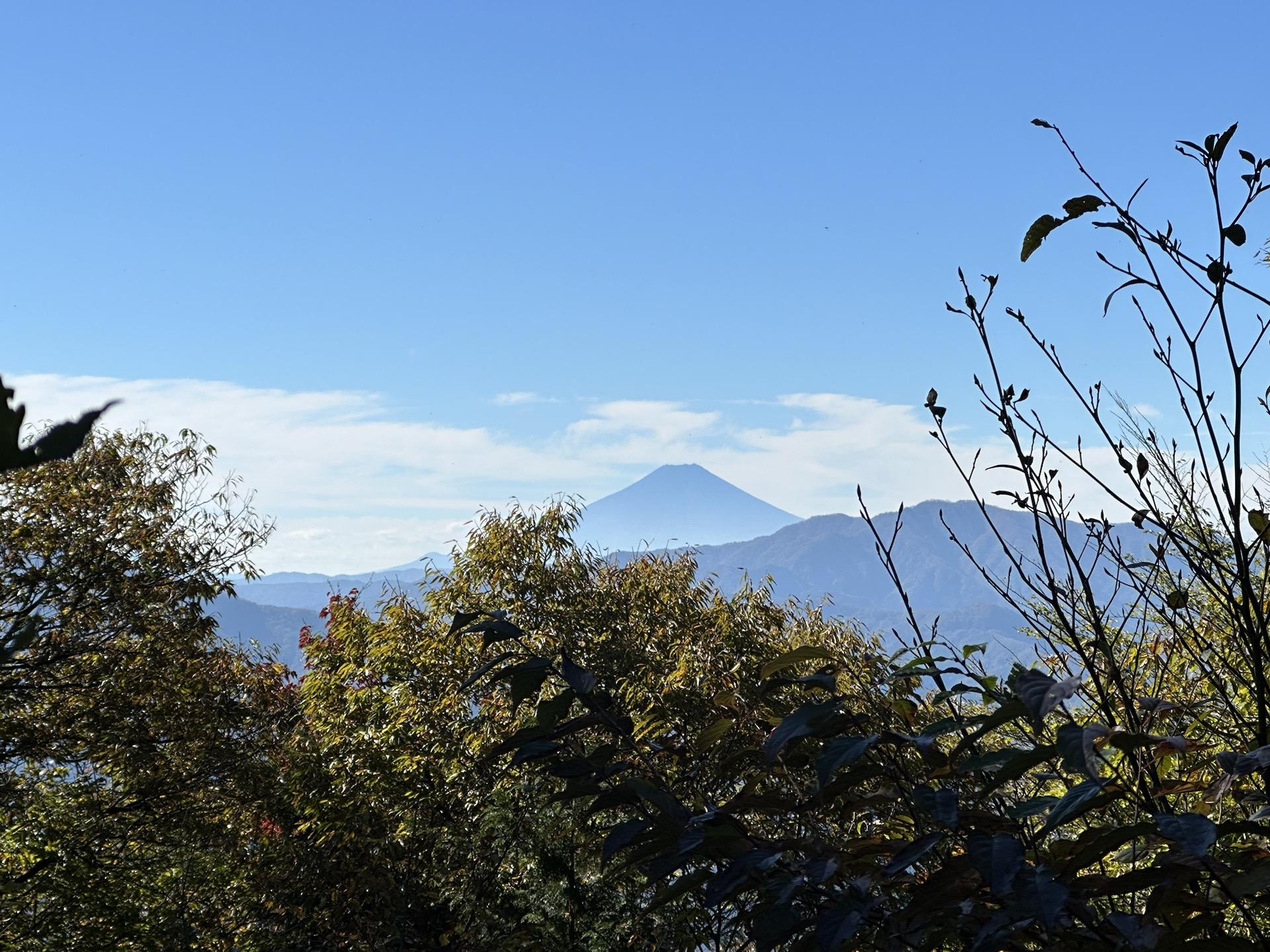 のりやま 川苔山 (かわのりやま) - 川乗山：1,363m - 山と溪谷オンライン