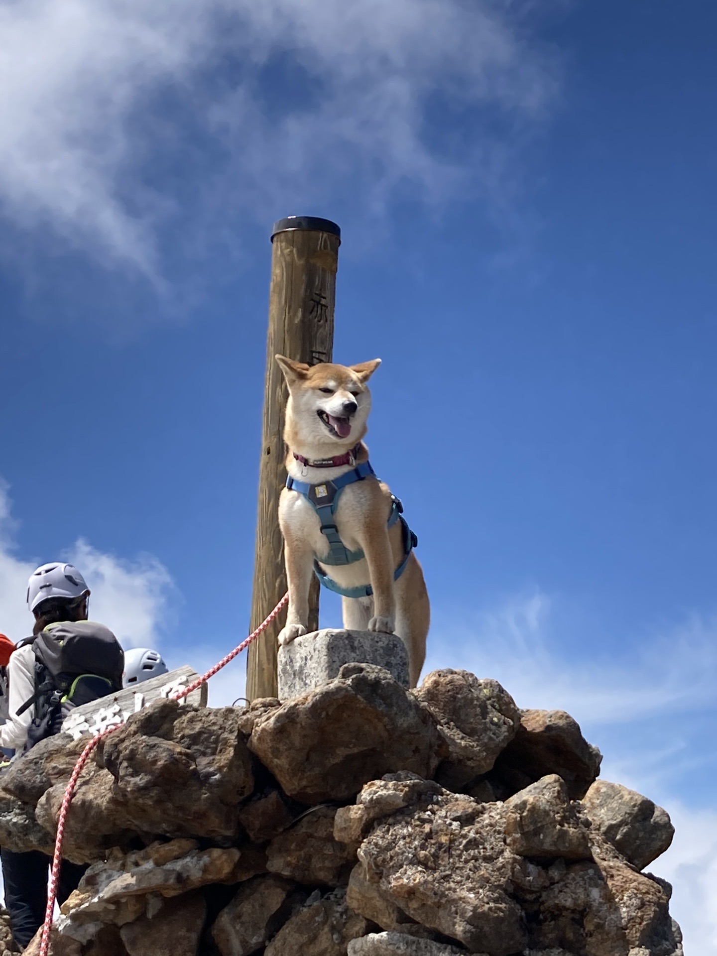 初ヘルメット で硫黄岳 横岳 赤岳へ すがこさんの八ヶ岳 赤岳 硫黄岳 天狗岳 の活動データ Yamap ヤマップ