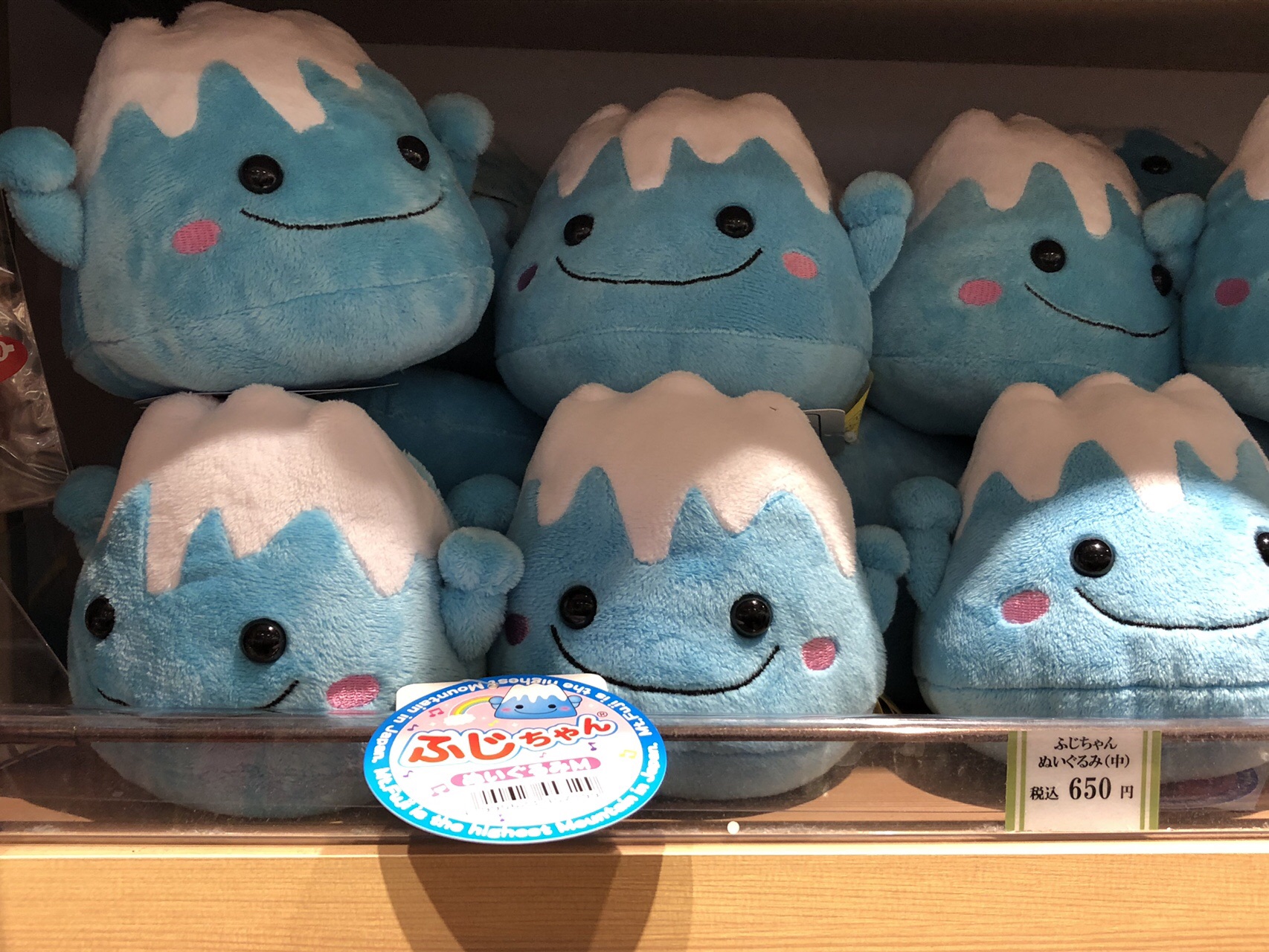 青木ヶ原樹海ハイク 見えたよ富士山 19 06 05 たーしも Vさんの富士山の活動日記 Yamap ヤマップ