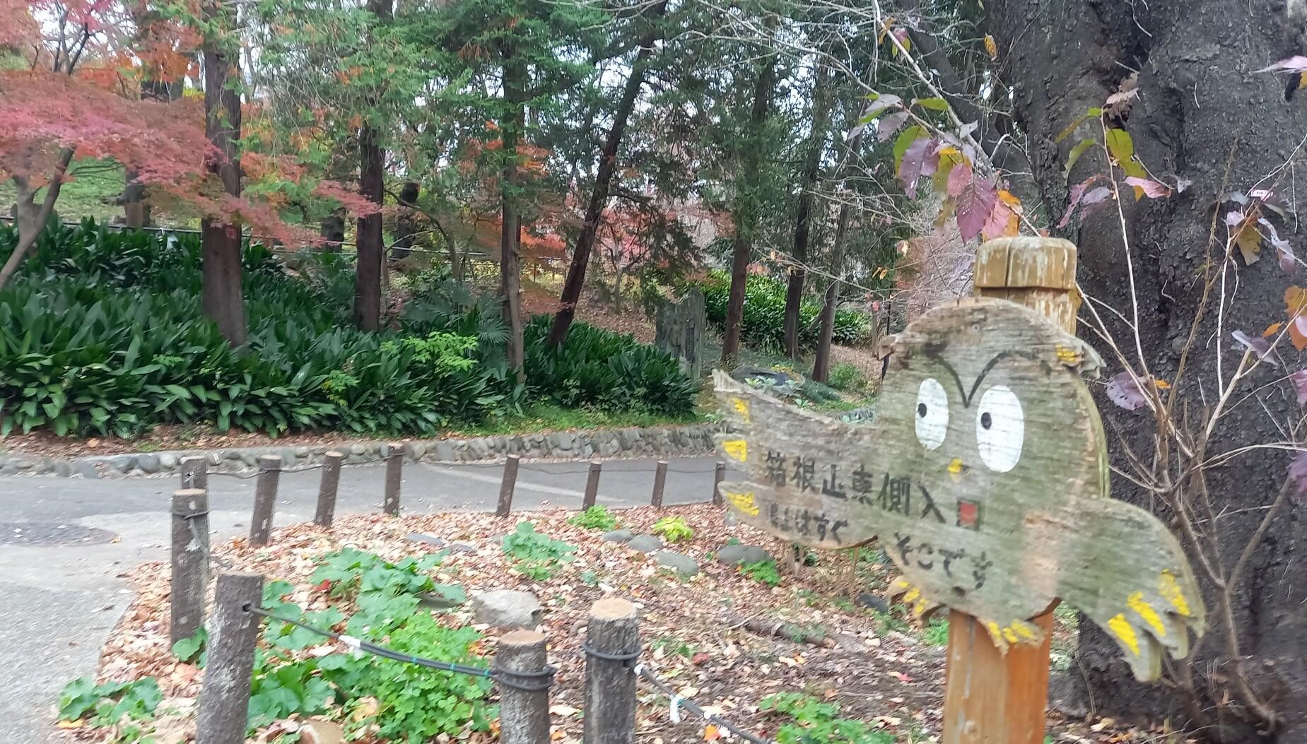 箱根山(新宿・戸山公園) / やまくみ♪さんの東京都23区 西エリアの活動データ | YAMAP / ヤマップ