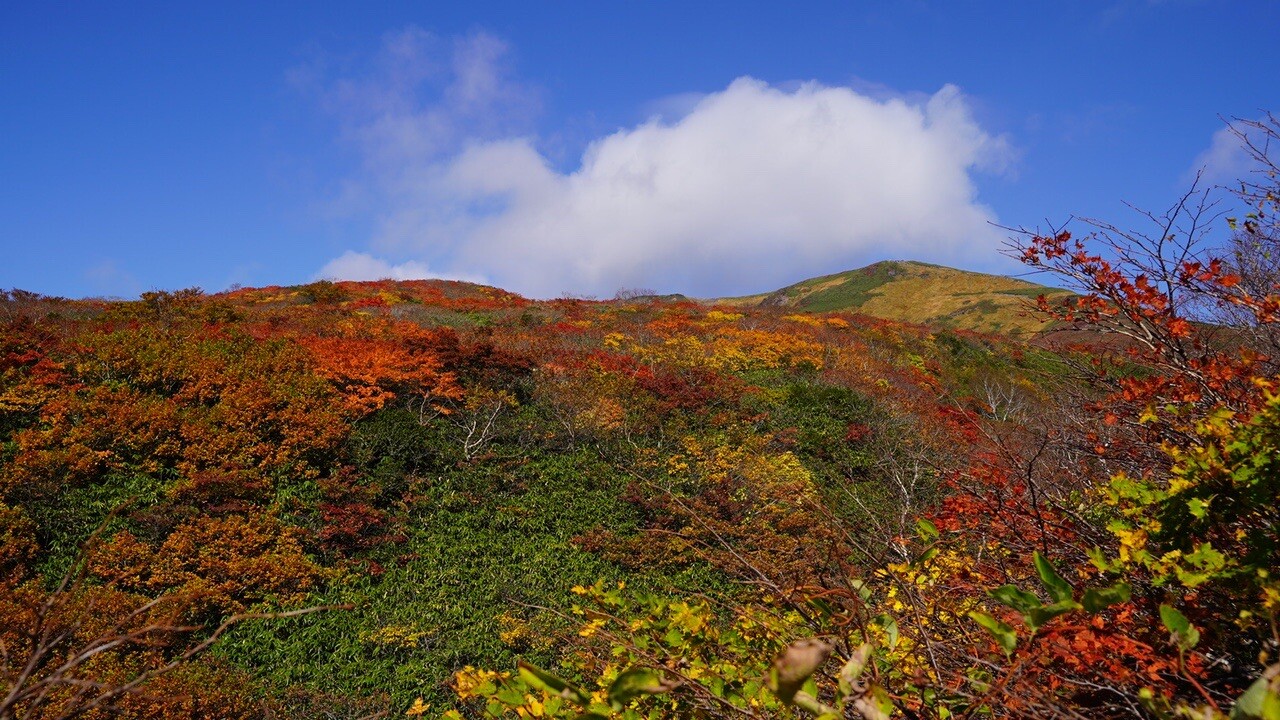東栗駒山-栗駒山 縦走コースの地図・登山ルート・登山口情報 | YAMAP / ヤマップ