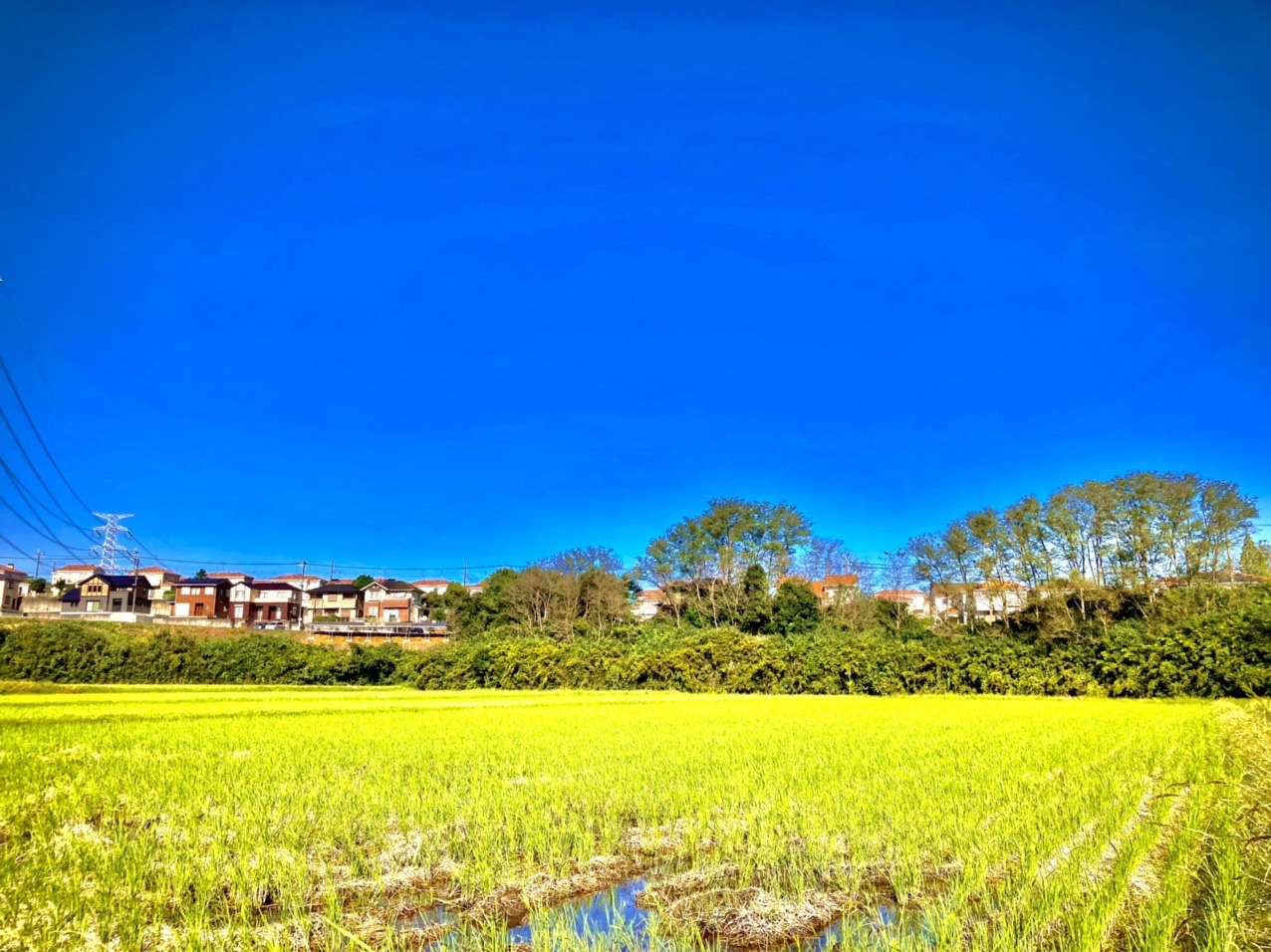 神崎町20211003 / 海坂藩士さんの神崎町の活動データ YAMAP / ヤマップ