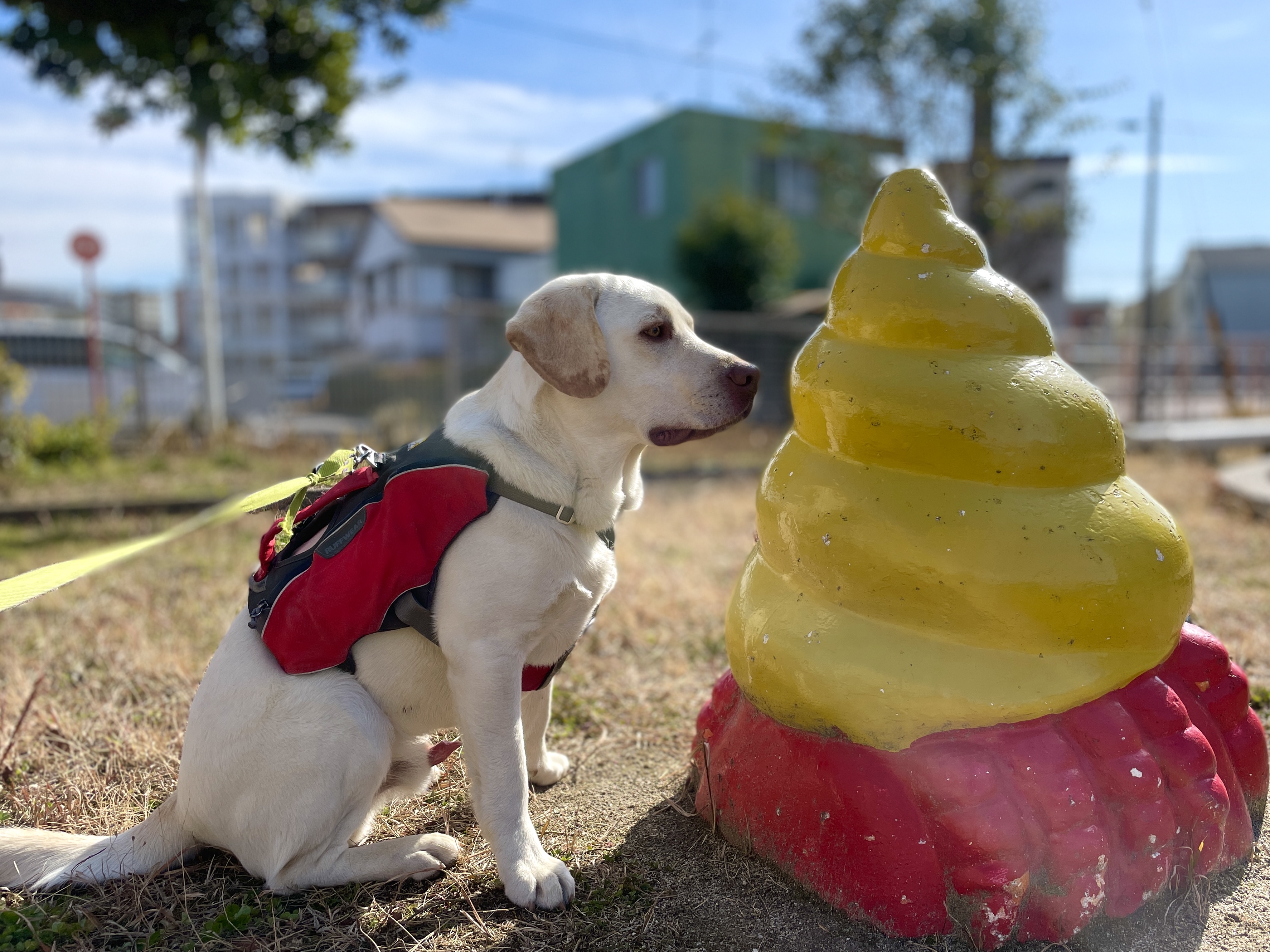 名古屋低山巡り 蜜柑山 菅田山 相生山 あずきさんの名古屋市の活動データ Yamap ヤマップ