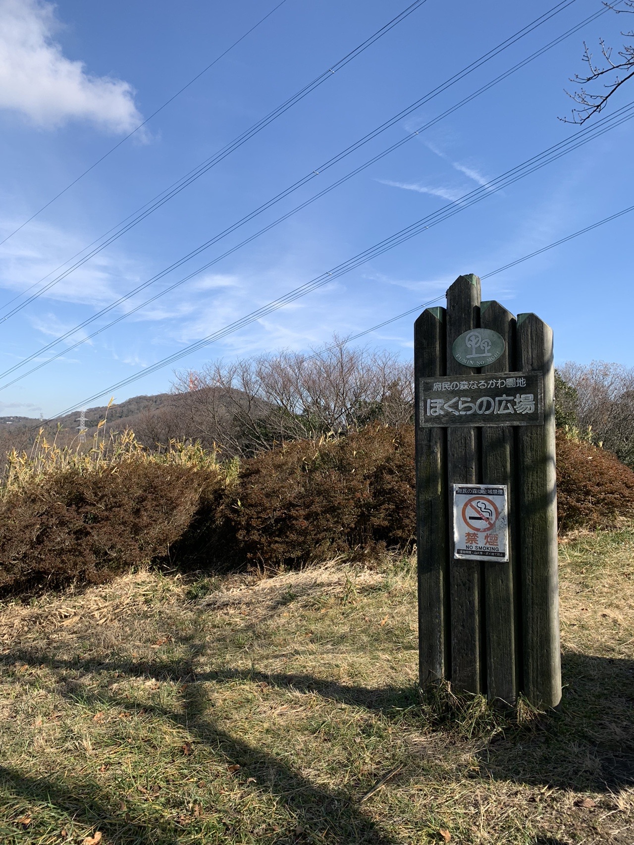 生駒山 神津嶽 かみつだけ らくらく登山道 の すさんの生駒山 神津嶽 大原山の活動日記 Yamap ヤマップ