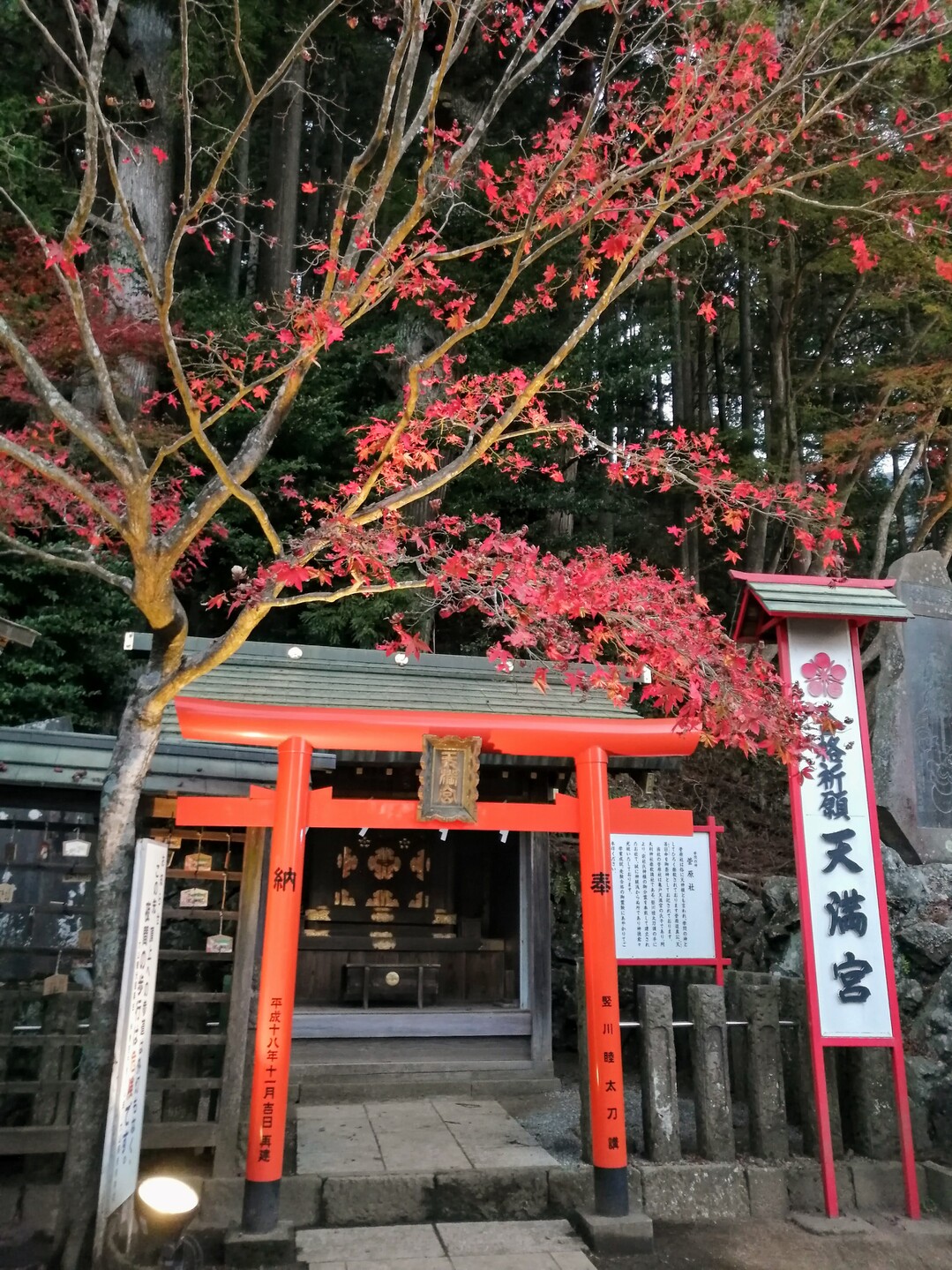 ルーメソと言えなくて 秋 大山 もかさんの大山の活動日記 Yamap ヤマップ