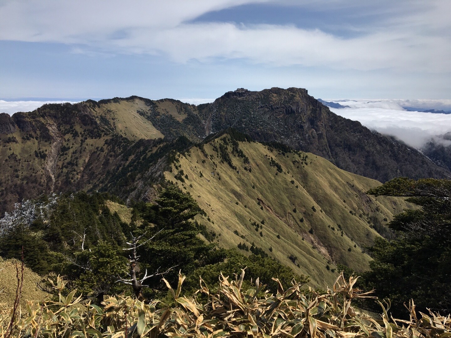 梅ヶ市登山口・堂ヶ森・二ノ森・鞍瀬ノ頭・堂ヶ森・梅ヶ市登山口−20200329 / karuriさんの石鎚山・堂ヶ森・二ノ森の活動データ