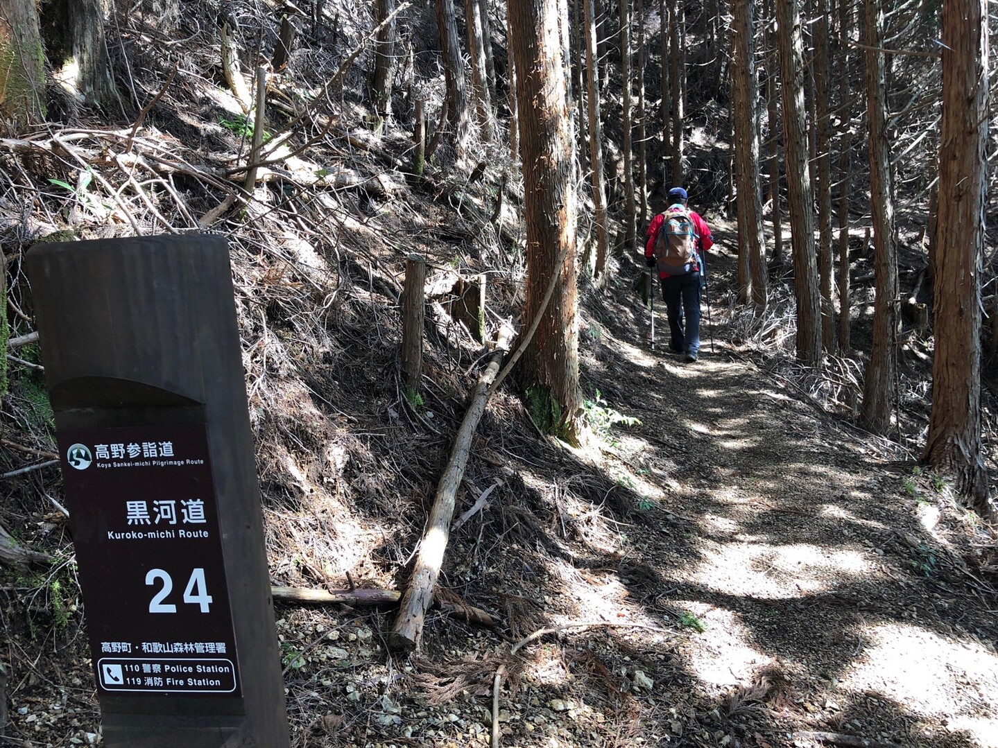 初めての「黒河道（くろこみち）」から高野山へ。٩(ˊᗜˋ*)و / 高野参詣道（高野山・楊柳山・雨引山）の写真46枚目 YAMAP / ヤマップ