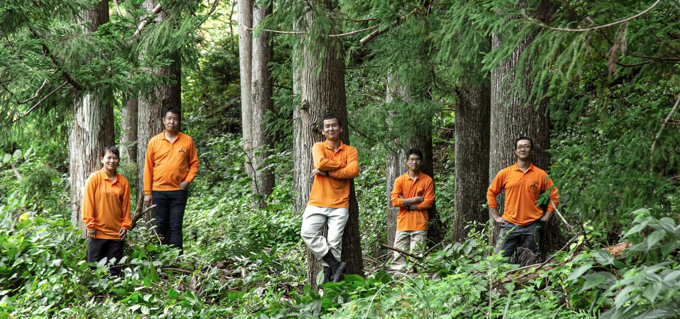 どんぐりで山を再生