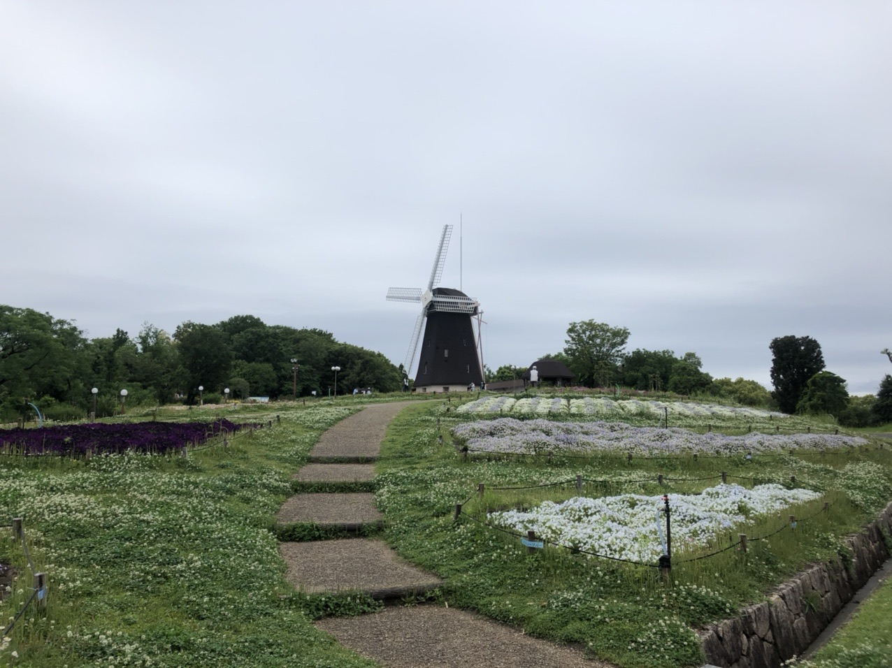 大阪市最高峰 鶴見新山 へ 山のしっぽさんの大阪市の活動データ Yamap ヤマップ