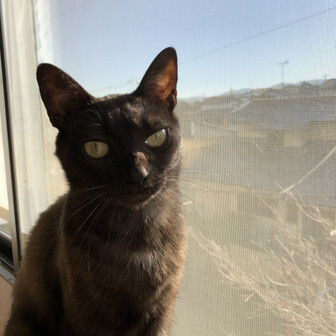 東海自然歩道 三国ウエスト農場 もんくーるさんの猿投山 物見山の活動データ Yamap ヤマップ