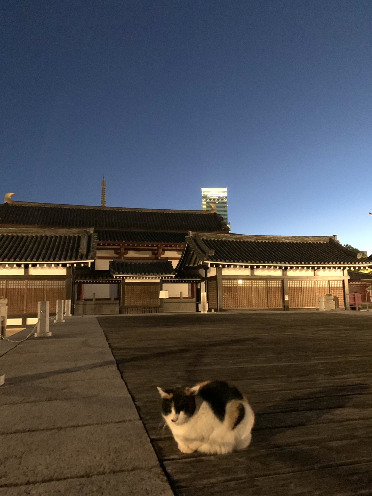 番外編u2026大阪LOVER冬の陣第二話 難波から通天閣、ハルカス、茶臼山、四 