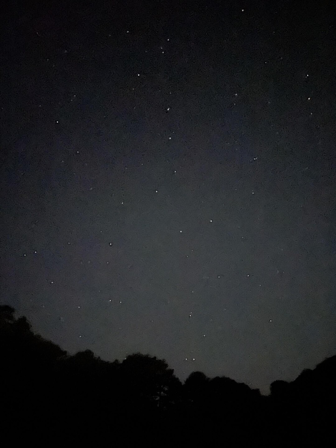 おお いつぶりだ？ こんな満点の星空見... / 雅っちょさんのモーメント YAMAP / ヤマップ