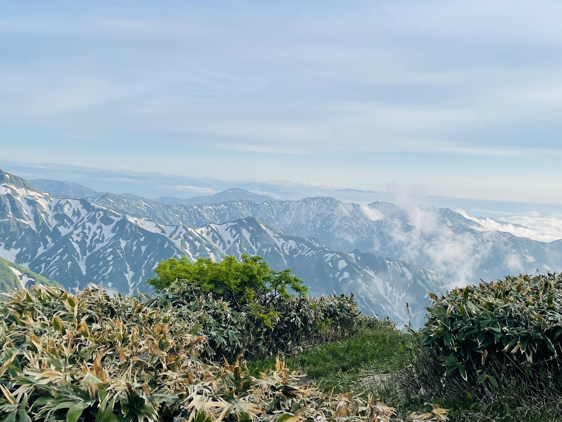 ニノ方面かな？