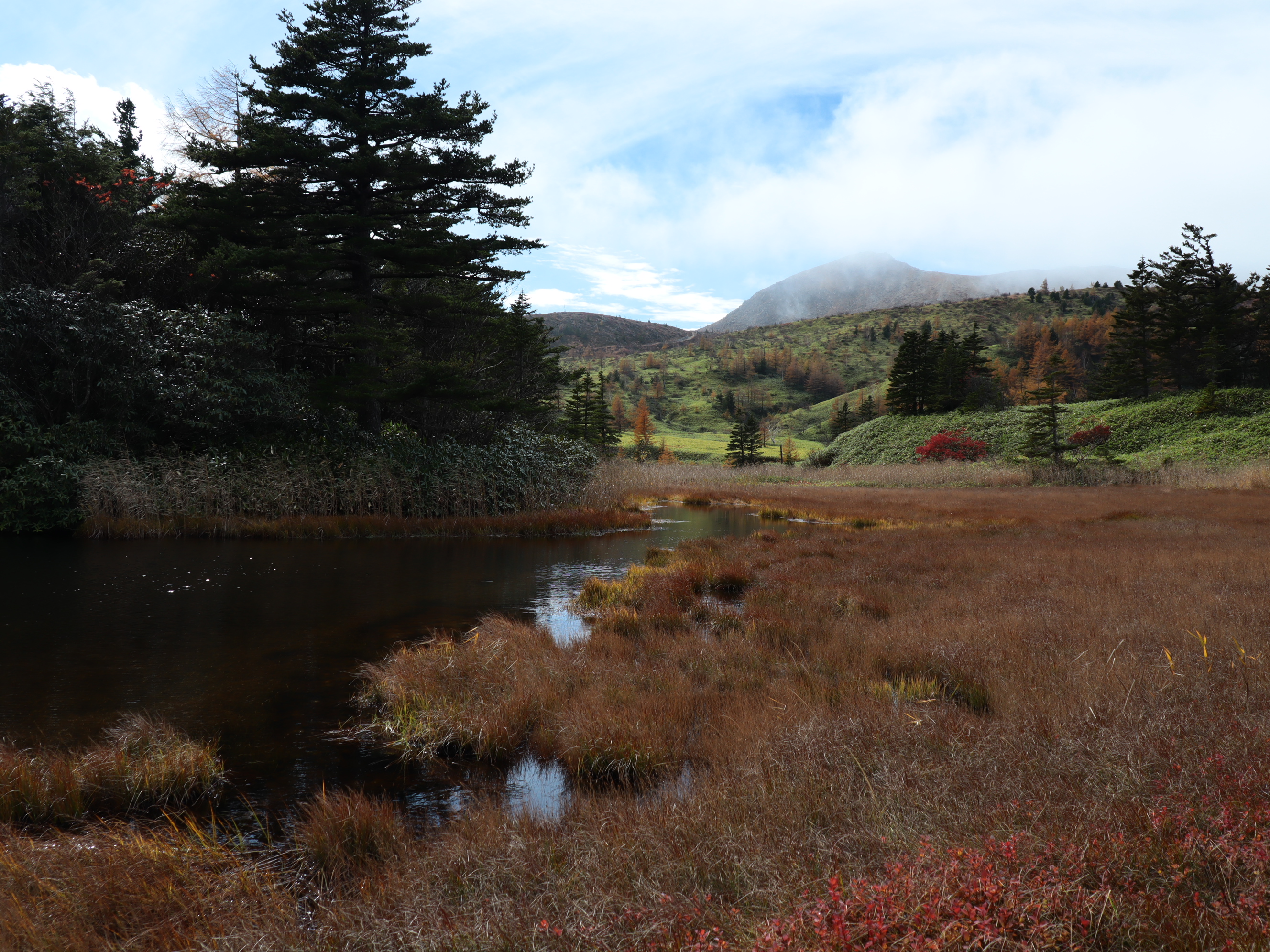 紅葉の芳ヶ平へ湿原散策 ざどじぃさんの草津白根山 湯釜の活動日記 Yamap ヤマップ