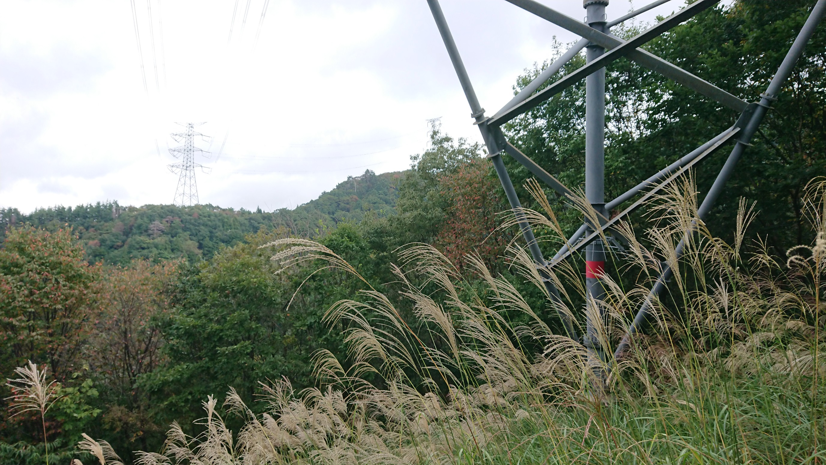 木六山・銀次郎山 103鉄塔から102鉄塔