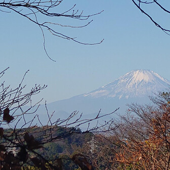 天園からの富士山