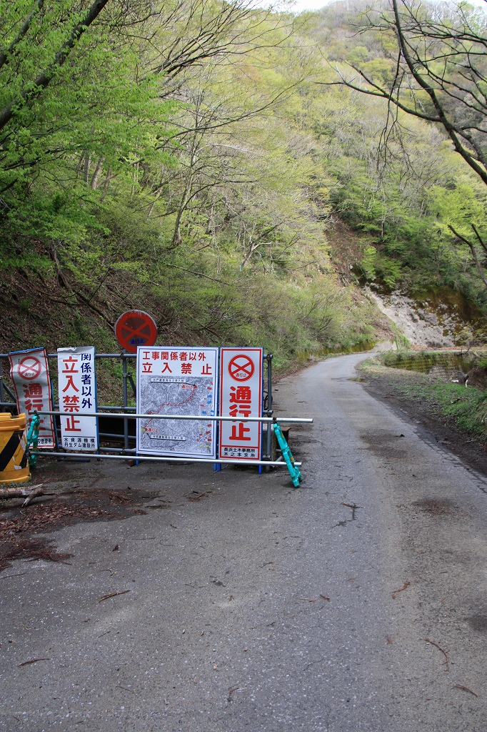 早春のブナの森 下谷山 音波山 余呉トレイル よねじさんの下谷山 音波山の活動データ Yamap ヤマップ