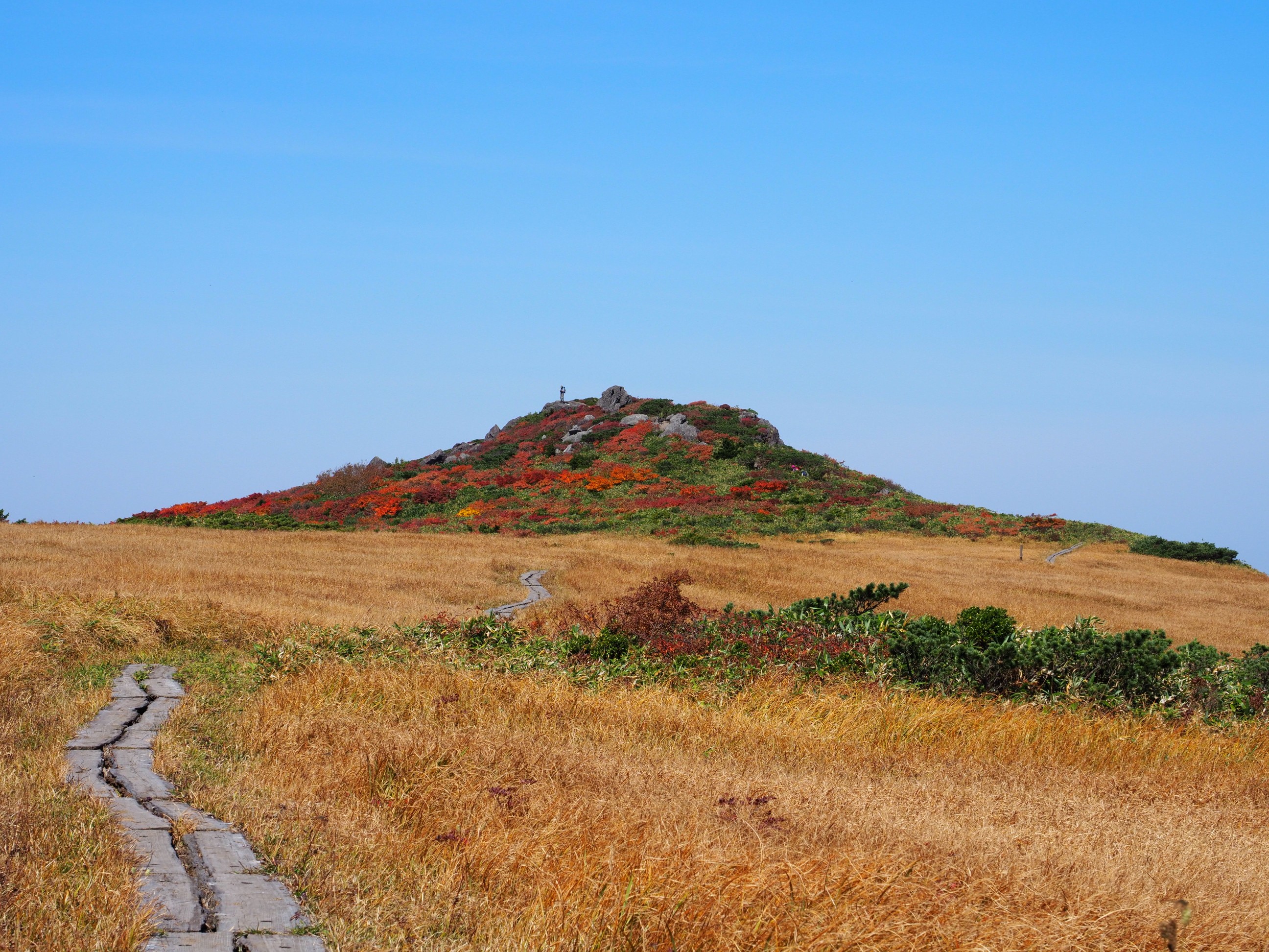 いわかがみ平 栗駒山 秣岳ピストン ターキーさんの栗駒山 須川岳 秣岳 虚空蔵山の活動データ Yamap ヤマップ