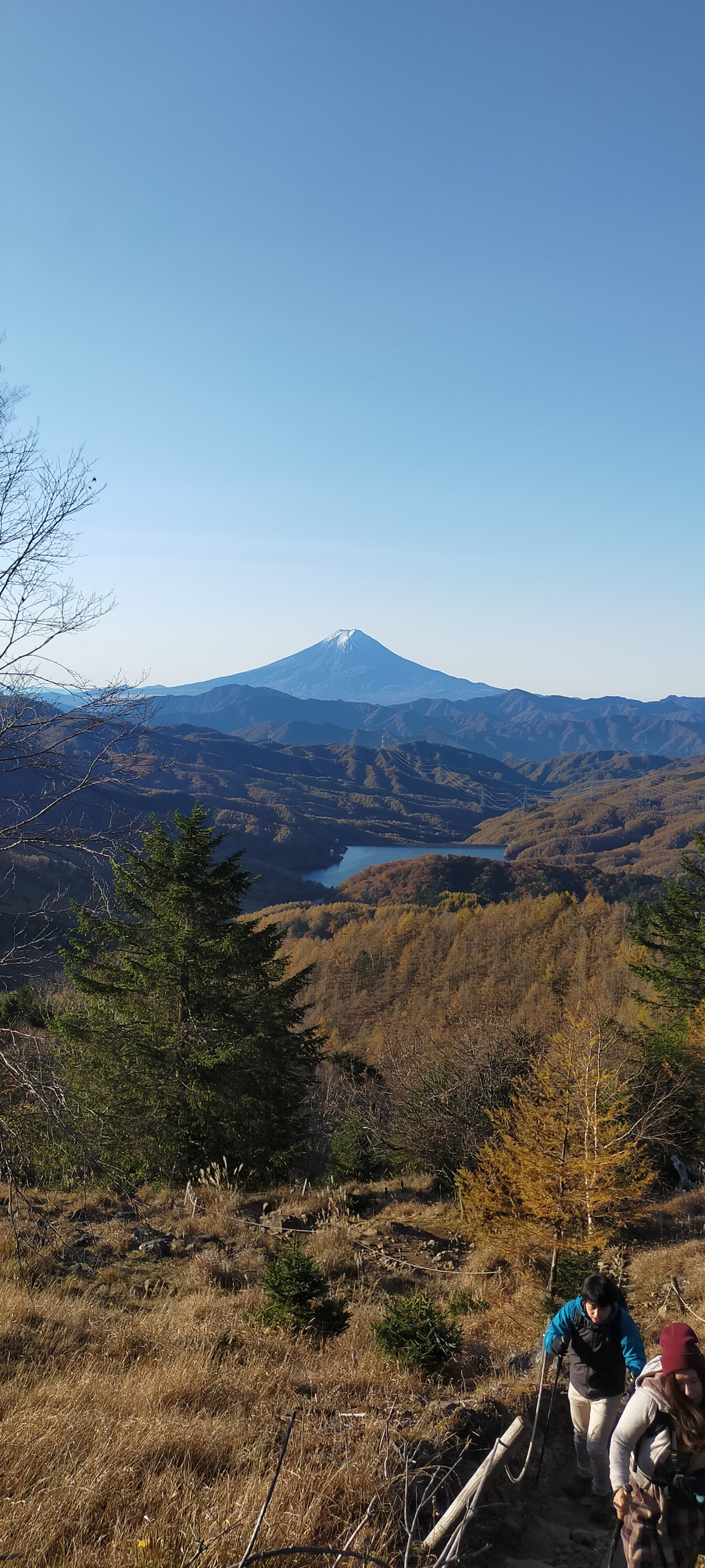 大菩薩嶺の紅葉を見に Bamuさんの大菩薩嶺 鶏冠山 大マテイ山の活動データ Yamap ヤマップ
