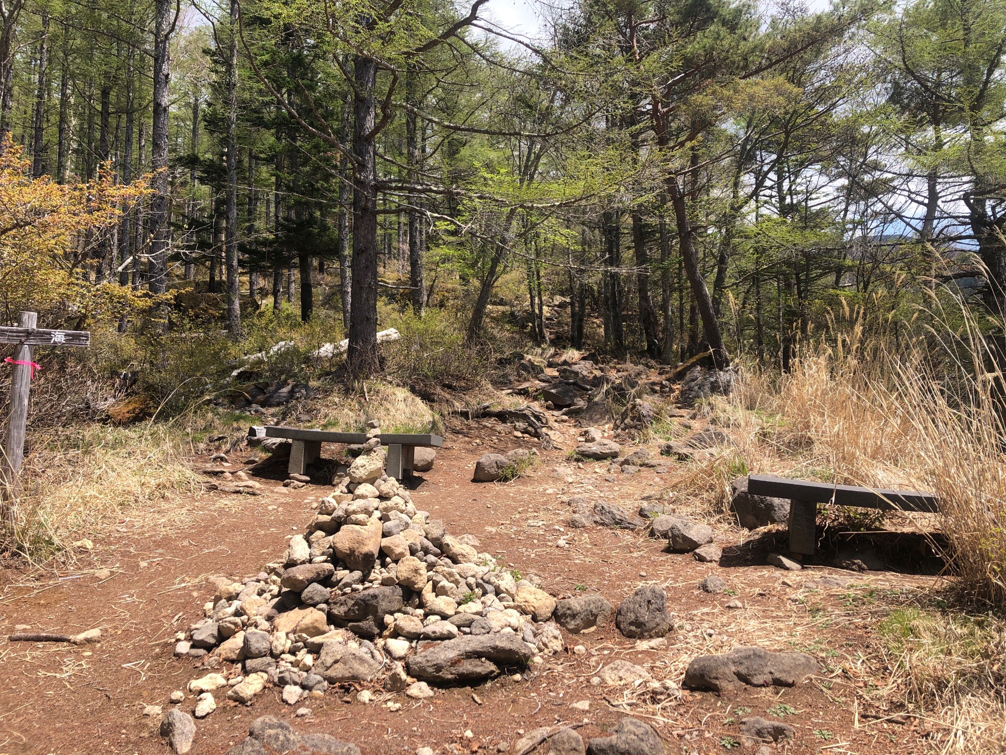 ベンチありね。