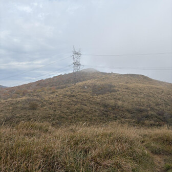 振り返ってみると赤坂山にもガスが…